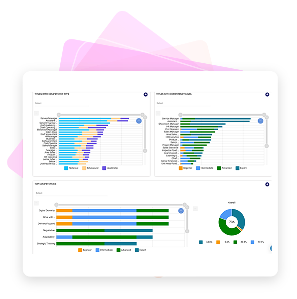Reports, Dashboards, Analytics & Insights